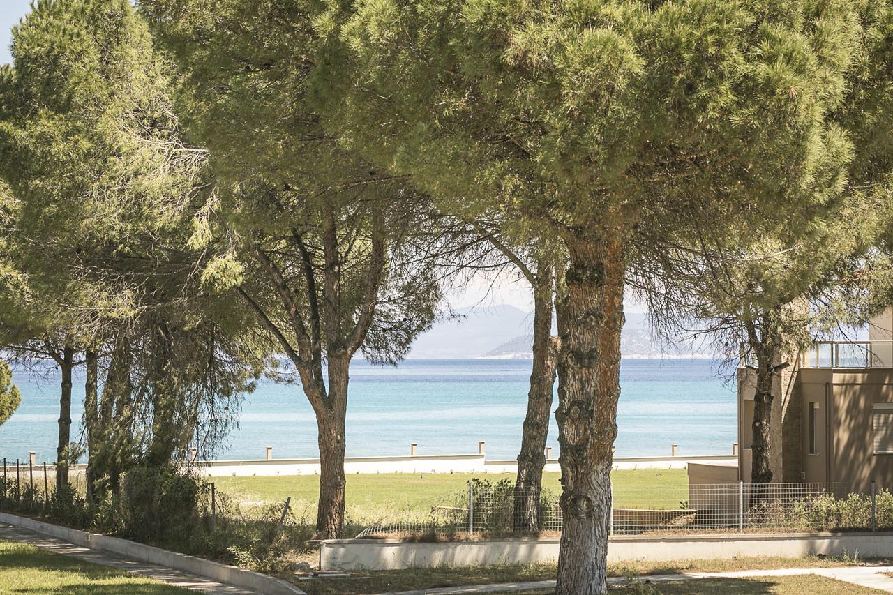 Дом отдыха Apollo Beachfront House In #feelslikehome